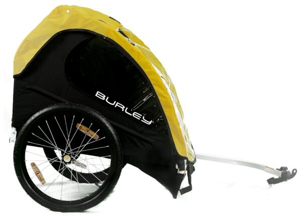 Bike and Burley Combo