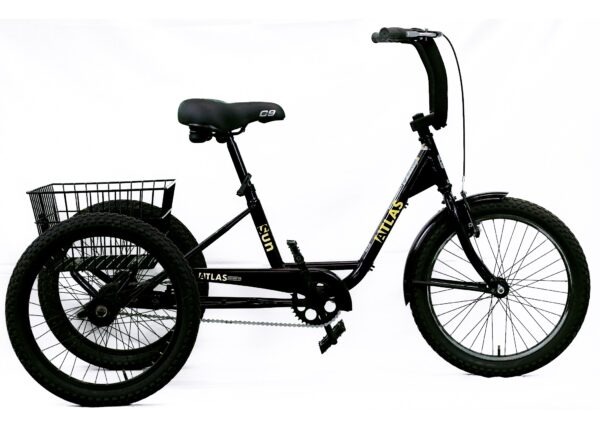 Kids Tricycle